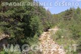  - Foto 117 di 147