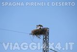  - Foto 118 di 147