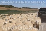 - Foto 120 di 147
