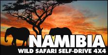 VIAGGI 4X4 - NAMIBIA SAFARI SELF-DRIVE 4X4